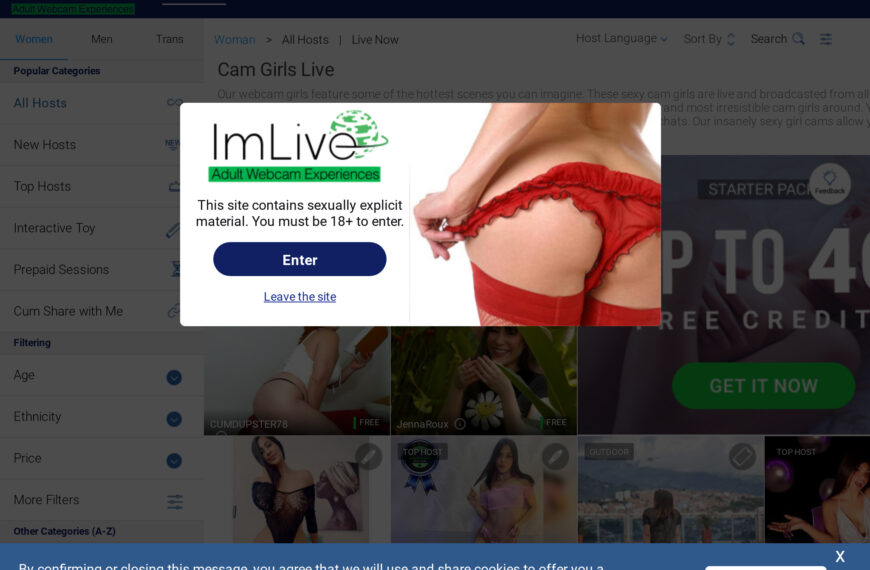 ImLive Review: een diepgaande blik op het populaire datingplatform