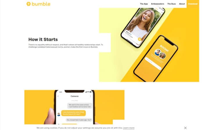 Recensione di Bumble: mantiene le sue promesse?